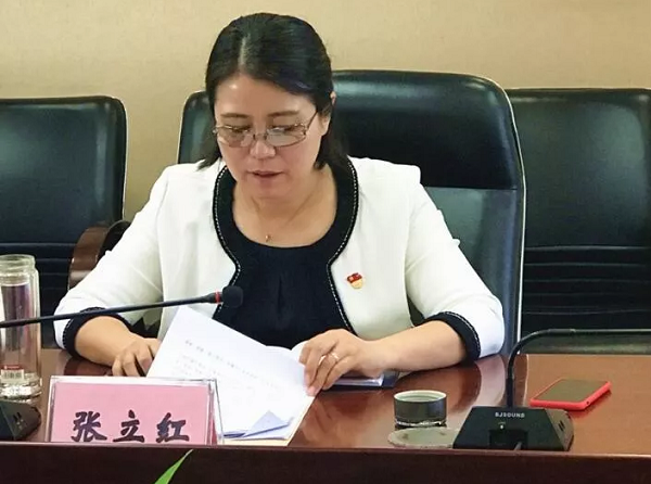 常务副会长张立红汇报工作
