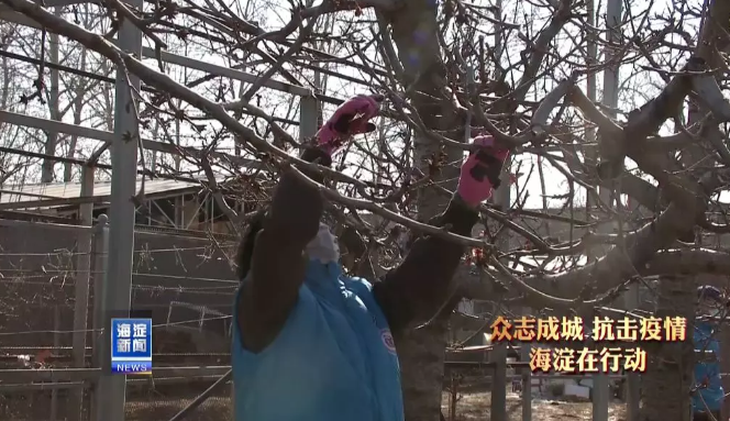 未命名1583571188.png