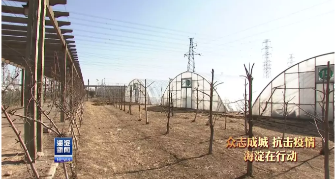未命名1583571201.png