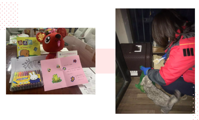 未命名1583723722.png